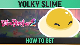 Slime Rancher 2  Yolky Slime  How to find [upl. by Ylrebmek]