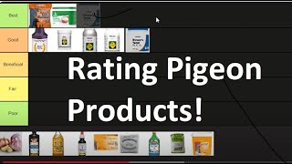 Rating My Favorite Racing Pigeon Products [upl. by Brause86]