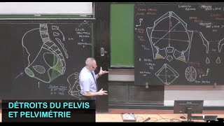 Anatomie des détroits du pelvis et pelvimétrie Pelvis 3 [upl. by Eromle]