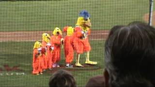 Family The San Diego Chicken in Vancouver 2 [upl. by Luzader]