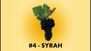 Cépage Sorcier 4  La Syrah [upl. by Jarvis]