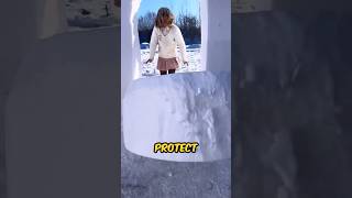 Girl Builds an Amazing Snow Palace for Survival shortsvideo [upl. by Opal343]