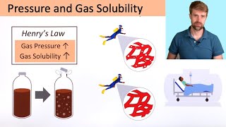 Pressure and Gas Solubility Henrys Law [upl. by Anits]