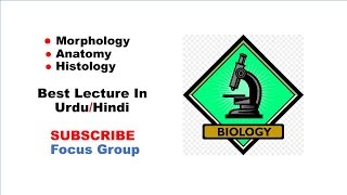 3 Morphology Anatomy amp Histology  Branches Of Biology  Lecture in UrduHindi [upl. by Butler514]