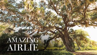 Wilmington’s Airlie Gardens Offers a Glimpse of North Carolina 500 Years Ago [upl. by Mook624]