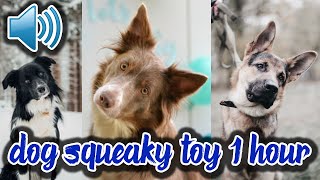 Dog Squeaky Toy Sound 1 Hour Dog Squeaky Noise Squeaky Toy Sound Dog Tilt Sound 1 Hour Dog Toy Noise [upl. by Atinram16]