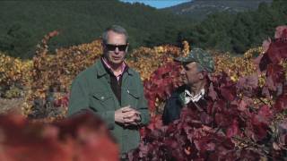 Axial Vinos  Marqués de Montañana [upl. by Pepita540]