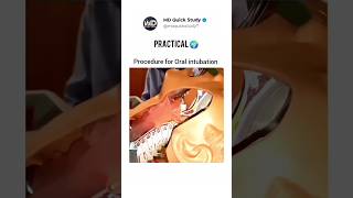 Procedure of Oral Intubation Practical  Science in Real 🌍 Life 3D Animation intubation practical [upl. by Socha431]