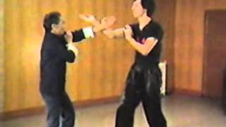 Original Wing Chun [upl. by Shaver996]