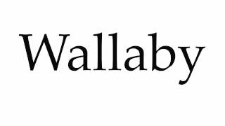 How to Pronounce Wallaby [upl. by Ehav]