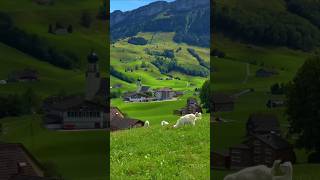 Swiss Humor The Worlds Most Boring Comedy [upl. by Hendry]