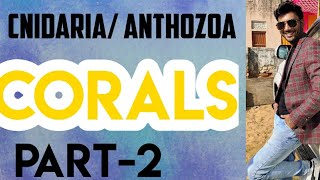 Geology palaeontology lecture series  cnidariscnidaris anthozoa actinozoa corals part2 [upl. by Annavaj]