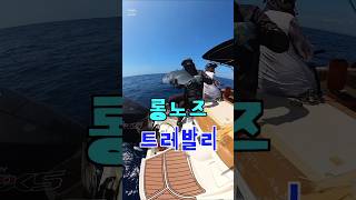 롱노즈 트레발리 호주 골드코스트 낚시australia goldcoast fishing longnosetrevally [upl. by Jennie]