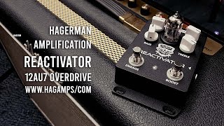 Hagerman Amps REACTIVATOR 12AU7 Overdrive Pedal [upl. by Ossie]