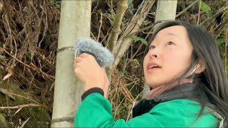 ASMR IN RURAL JAPAN🇯🇵🌿 [upl. by Akemot]