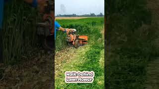 Walkbehind lawn mower agri farming agriculturalmachinery [upl. by Keyte42]