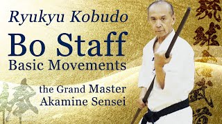 The best Bo Staff Basic  the Grand Master shows you  Ryukyu Kobudo  Ageshio Japan [upl. by Herates]