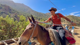 VLOG103  و أخيرًا رحلتي الجديدة😍بالبغل بين جبال الأطلس ⛰️🇲🇦 [upl. by Boigie]