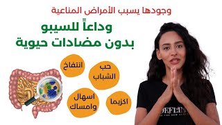 السيبو وعلاجها النهائي الفعال  علاج فرط نمو البكتيريا الضارة SIBO بثلاث خطوات [upl. by Yhtir]