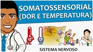 Sistema Nervoso 14 – Sistema Somatossensorial II Dor e Temperatura  Vídeoaula [upl. by Orsay]