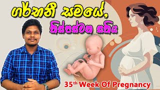 Pregnancy 35th Week  Sinhala Medical Review  අම්මයි බබයි [upl. by Terryl934]