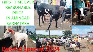 Amingad karnataka big market goat and sheep market bakrid special 2024 full detail video with price [upl. by Gerge]