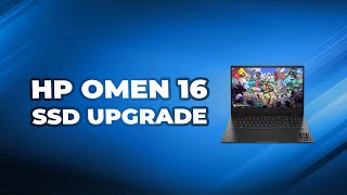 How to Easily Perform an HP Omen 16 SSD Upgrade [upl. by Novah866]