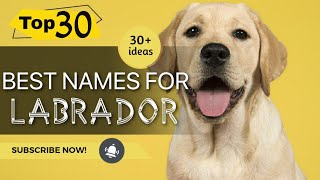 Top 30 Best Names For Labrador । Dog Names । Pets Vlogger [upl. by Nnylaj]