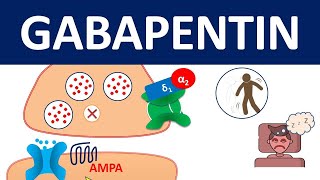 Gabapentin  Mechanism precautions amp side effects [upl. by Atiuqad892]