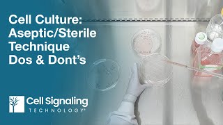 Cell Culture AsepticSterile Technique Dos amp Don’ts  CST Tech Tips [upl. by Arted553]