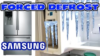 How to Defrost the Ice Maker chamber on Samsung Refrigerators with FORCED DEFROST Mode DIY [upl. by Hercule]