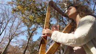 Harp flow in the forest 11720 [upl. by Asoj56]