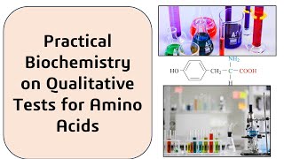 Qualitative test for amino acids [upl. by Eiznek]