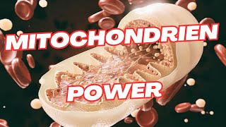 Werde JÜNGER Die Kraft gesunder Mitochondrien [upl. by Yerfdog604]