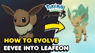 How To Evolve Eevee Into Leafeon In Pokemon Legends Arceus Moss Rock Location [upl. by Yelwah]