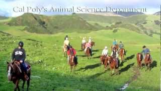 Welcome to Animal Science Cal Poly [upl. by Tremaine]