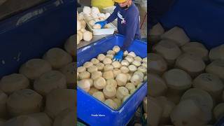 The Best Coconut Packaging Process in Thailand [upl. by Cosimo]