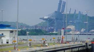 Hoegh Target transits through the Expanded Panama Canal [upl. by Awad]