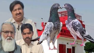 Ustad Mian Faisal of Jalalpur Bhattian ki chat se pigeons shoq [upl. by Nivlek]