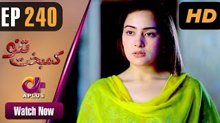 Drama  Kambakht Tanno  EP 240  Aplus  Tanvir Jamal Sadaf Ashaan  C2U1 [upl. by Anak]