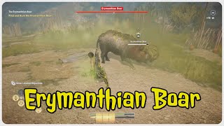 Assassins Creed Odyssey  Erymanthian Boar location and fight [upl. by Yahsat]