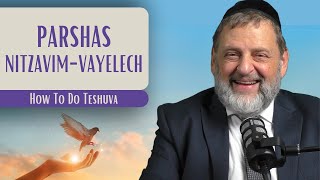 NitzavimVayelech  How To Do Teshuva  Rabbi Dovid Orlofsky [upl. by Kirtley]