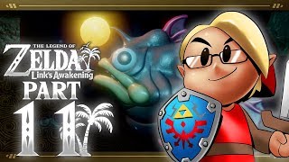 The Legend of Zelda Links Awakening Nintendo Switch Part 11  Anglers Tunnel [upl. by Esiuolyram]