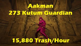 BDO Guardian  15880 Aakman  273 Kutum  100 LS  Red Shard Room Extended [upl. by Noemys]