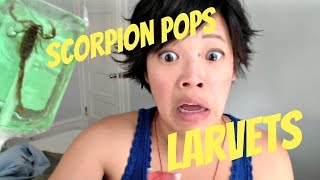 Emmy Eats Scorpion Pops Larvets amp Chili Pops [upl. by Ettenyar]