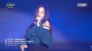 🔥 MOMOLAND  CANT NOBODY 2NE1  모모랜드 LIVE IN DUBAI Concert 2019 [upl. by Nomma]