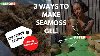 HOW TO MAKE SEAMOSS GEL 3 WAYS  REAL CHONDRUS CRISPUS  DR SEBI APPROVED  BLISSFUL KITCHEN [upl. by Nedla]