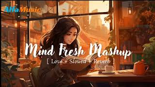 Soulful Love Mashup 2024  Mysterious Lofi Mashup Secrets 2024 [upl. by Dinerman29]