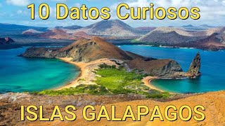 10 Datos Curiosos que NO sabias sobre las ISLAS GALAPAGOS Ecuador [upl. by Ollayos]