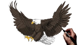 How To Draw A Bald Eagle Hunting  Step By Step [upl. by Novart]